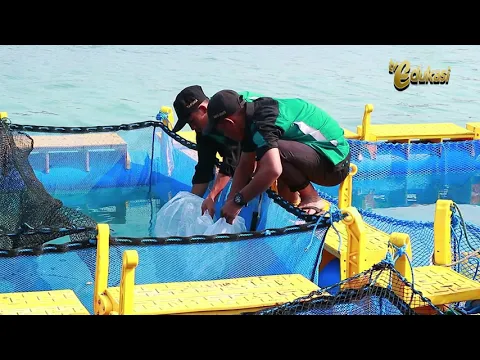 Identifikasi Parameter Kualitas Air