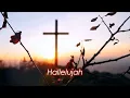 WE ARE FREE by Elim Music