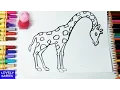giraffe coloring pages - giraffe coloring pages for kids