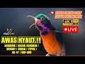 Download Lagu PANCINGAN KONIN GACOR FULL TEMBAKAN ISIAN MEWAH!! COCOK BUAT MASTERAN KOLIBRI NINJA BAHAN IJOAN
