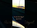 Wish I d Stayed - Queer Cat