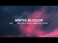 Download Lagu Dept(뎁트) - Winter blossom (Feat. Ashley Alisha, nobody likes you pat) lyrics video