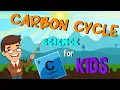 What is Carbon and The Carbon Cycle Process Science for Kids