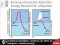 CH450 Chapter 6 3 6 4 - Enzyme Substrate Binding and Reaction Equilibrium
