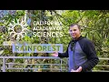 San Francisco s California Academy of WALK THRU 4K