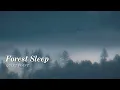 Forest Sleep | Ambient Nature Music | Always Human Made