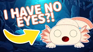 Olms Live While Being Completely Blind! | KLT Wild