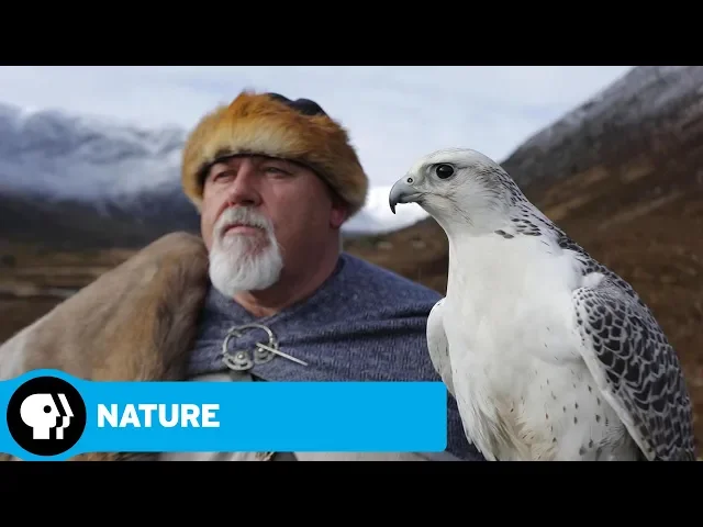 Wild Way of the Vikings Preview | NATURE | PBS