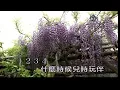 一樣的月光~蘇芮~女Bm調~伴奏導唱~金嗓