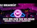 Download Lagu FULL MELODY TERBARU 2024 || ISEH OPO ISEH SOK KELINGAN || DJ BREAKBEAT 2024