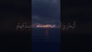 من المؤمنين رجال صدقوا ما عاهدوا الله عليه سورة الأحزاب بدر التركي Quran غزة قرآن Shorts 