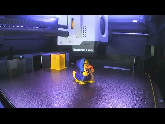 Hoodie Duck video thumbnail