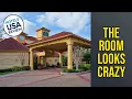 La Quinta Inn Suites by Wyndham USF Near Busch Gardens - The Room Looks Crazy Tampa FL