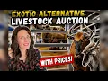 Behind The Scenes Exotic Alternative Livestock Auction
