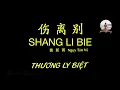 Download Lagu Thương Ly Biệt • Ngụy Tân Vũ 魏新雨 • 伤离别【动态歌词/PinyinLyrics/Vietsub】