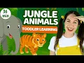 Lagu Jungle Hide \u0026 Seek | Toddler learning + musical play | Learn opposites, emotions, counting, animals
