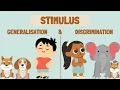 STIMULUS GENERALISATION DISCRIMINATION REINFORCEMENT EXTINCTION SPONTANEOUS RECOVERY