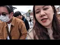 Kyoto 1 day, see cherry blossoms, Kiyomizu-dera Temple and Fusjimi Inari, Japan Vlog EP5