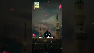 Dildar Bade Aaye Mehboob Bady Dekhy Takbeertv Islamicpost Viralvideo Islamicreels Foryou Fyp 