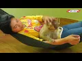 Miss LUNA Hugging Mommy Sleep On Hammock