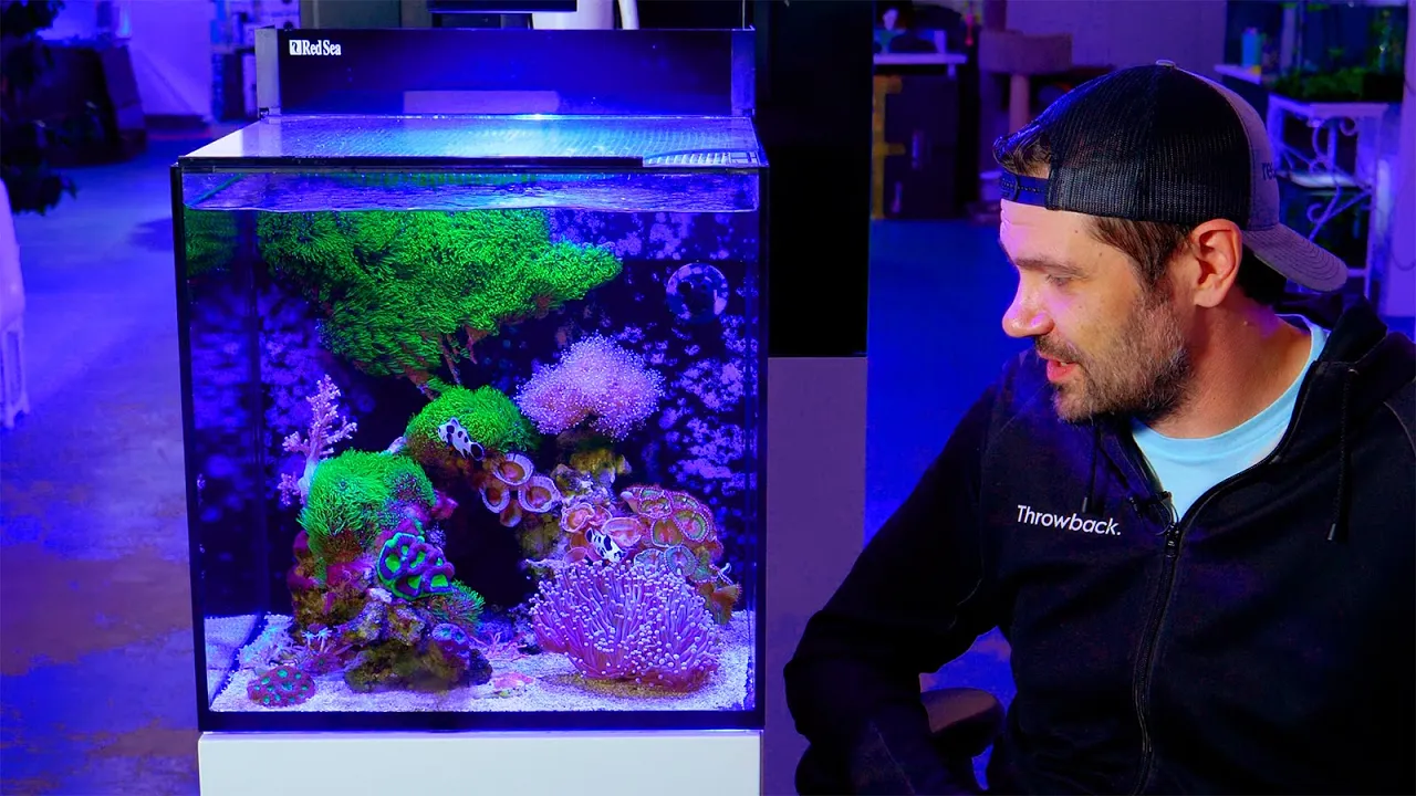 The 1-Day Nano Reef (2-Year Update)