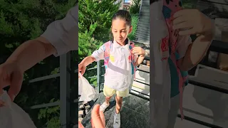 هيلين نسيت هيفي بالباص 