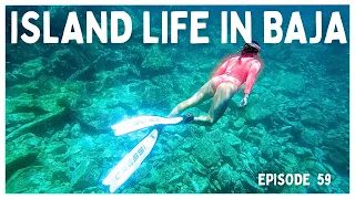 [Ep 59] We Outsmarted the Bees & Had the Island to Ourselves | Isla La Ventana, Mexico