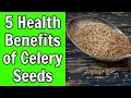 5 Health Benefits of Celery Seeds