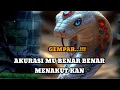 Lagu JIWA TERPILIH _ AKURASIMU BENAR BENAR MENAKUTKAN