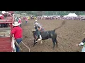 VLOG 55 PALMER GULCH RODEO