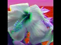 Download Lagu favorite - austin george (slowed \u0026 reverb)