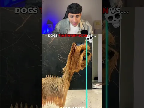 Outros animais usando filtro congelante X o último cara 😨