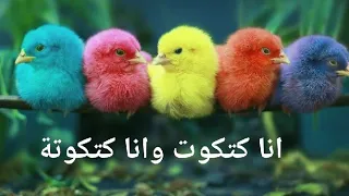 نشيد جميل جدا لاطفال الحضانة    اغنية انا كتكوت وانا كتكوتة    اناشيد الروضة    اغاني اطفال دندنها