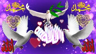 دعاء خاشع مستجاب    اللهم يا مغير الأحوال غير حالي إلى أحسن حال    و سخر لي من حظوظ الدنيا كل خير    دندنها