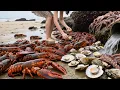 Download Lagu Xiao Zhang Found A Lobster Nest Full Of Valuable Goods.