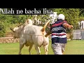 Download Lagu Aaj main girty girty bacha giya 😰 - Amin bhai k sath last vlog 💔 - JNTV Vlogs