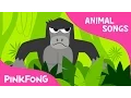 Download Lagu Jungle Boogie | Animal Songs | PINKFONG Songs for Children