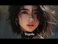 Download Lagu ADIK - Tequila