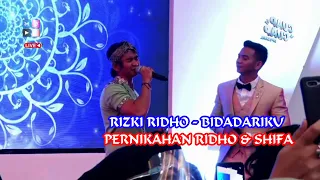 Download Persembahan Rizki Ridho - Bidadariku di Pernikahan Ridho dan Shifa MP3