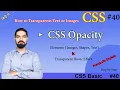 CSS Opacity Transparency Effects in CSS How to Transparent Elements with Hover Effects