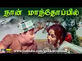 Download Lagu நான் மாந்தோப்பில் | Naan Mandhoppil | Enga Vettu Pillai Video Song | MGR | M.S.Viswanathan 1960s HD