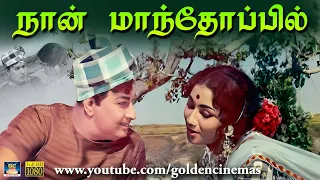  naan mandhoppil enga vettu pillai video song mgr m s viswanathan 1960s hd