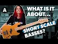 Download Lagu What Is It About Short Scale Basses?