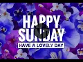 Beautiful Happy Sunday Wishes Floral Greetings and Blessings