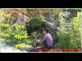 Download Lagu Chờ em là hạnh phúc  FHD Sub+Kara    Cao Sỹ Hùng