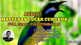 Download Masteran Cucak Cungkok | Full Isian | Full Tembakan MP3