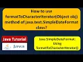How to use formatToCharacterIterator Object obj method of java text SimpleDateFormat class