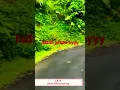 Download Lagu wina,ass, indah pisan eyyy,#solawatpenyejukhati#solawatmerdu