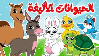 الحيوانات الأليفة        أنشودة اسماء الحيوانات الأليفة  الرائعة من قناة ألوان دندنها