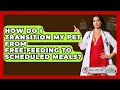 How Do I Transition My Pet From Free-feeding To Scheduled Meals - Ask A Pet Vet
